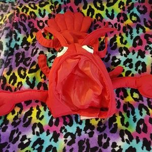 3/20$ Lobster dog costume